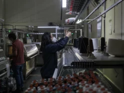 3sixteen Pima Cotton Knit Watch Cap Indigo