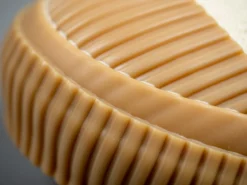 Pras Shellcap Low Sneakers Kinari/Gum