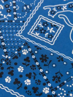 TCB Cat Bandana Blue 13 TCB Cat Bandana Blue