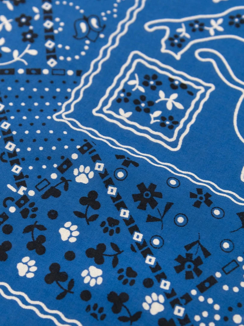 TCB Cat Bandana Blue 8 TCB Cat Bandana Blue