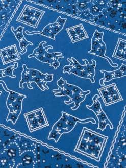 TCB Cat Bandana Blue 11 TCB Cat Bandana Blue