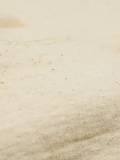 Samurai Jeans SJST-SC01 Japanese Cotton Crew T-Shirt Natural 32 Samurai Jeans SJST-SC01 Japanese Cotton Crew T-Shirt Natural