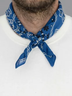 TCB Cat Bandana Blue 10 TCB Cat Bandana Blue