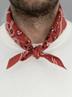 TCB Cat Bandana Red